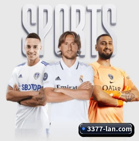 3377官网 APP